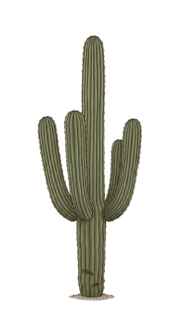 Cactus Learning